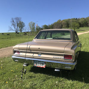 Meet your Posher, Austin